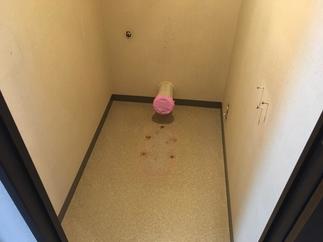 トイレ撤去