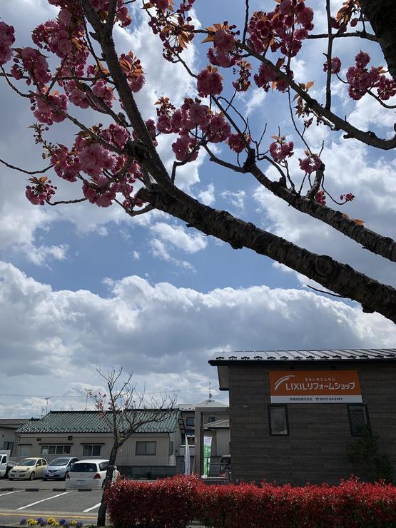 IMG_0062.JPGのサムネイル画像