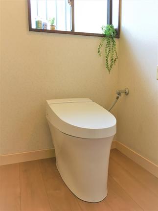 こだわって選びました『サティス』