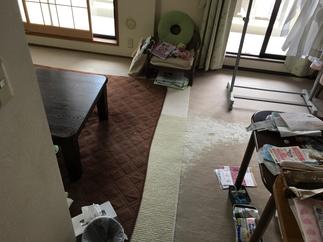 既存のリビングカーペット