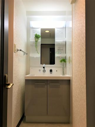 ライトグレーがスタイリッシュな洗面室