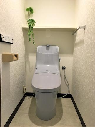 小粋なライトグレー色