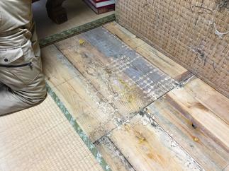 白蟻　大量発生！