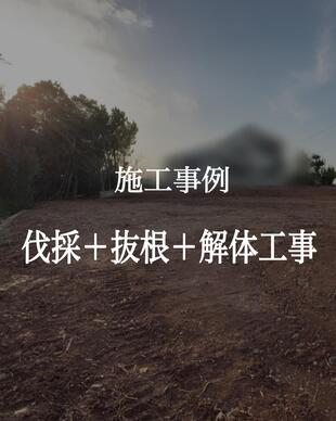 伐採＋抜根＋解体工事