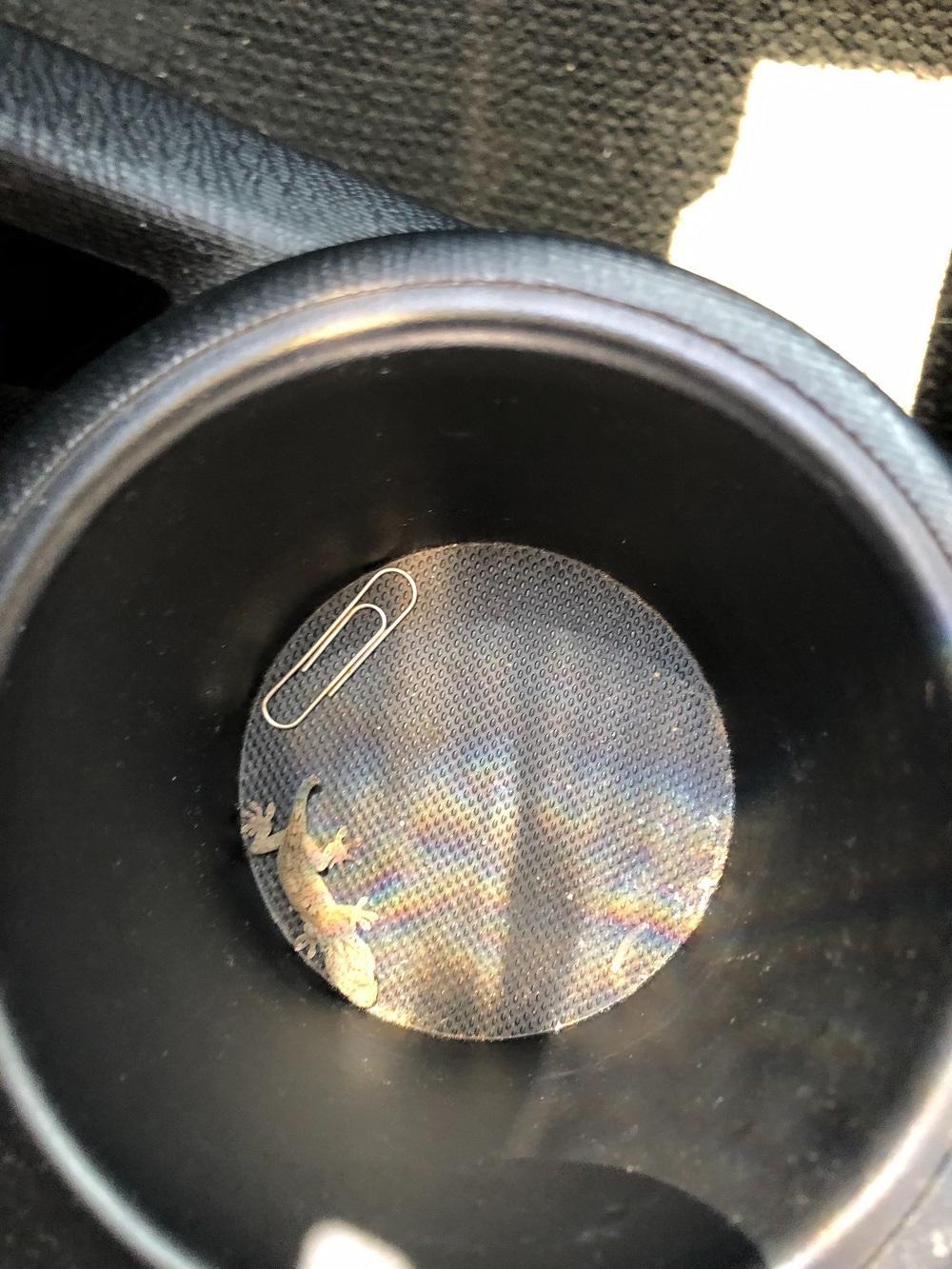 iOS の画像 (18).jpg