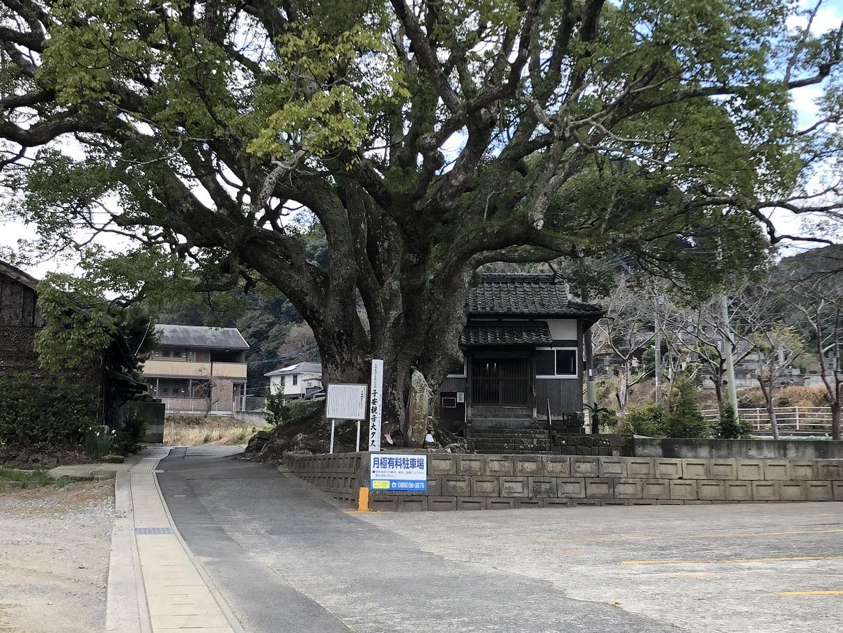 写真 2019-01-19 12 17 11.jpg