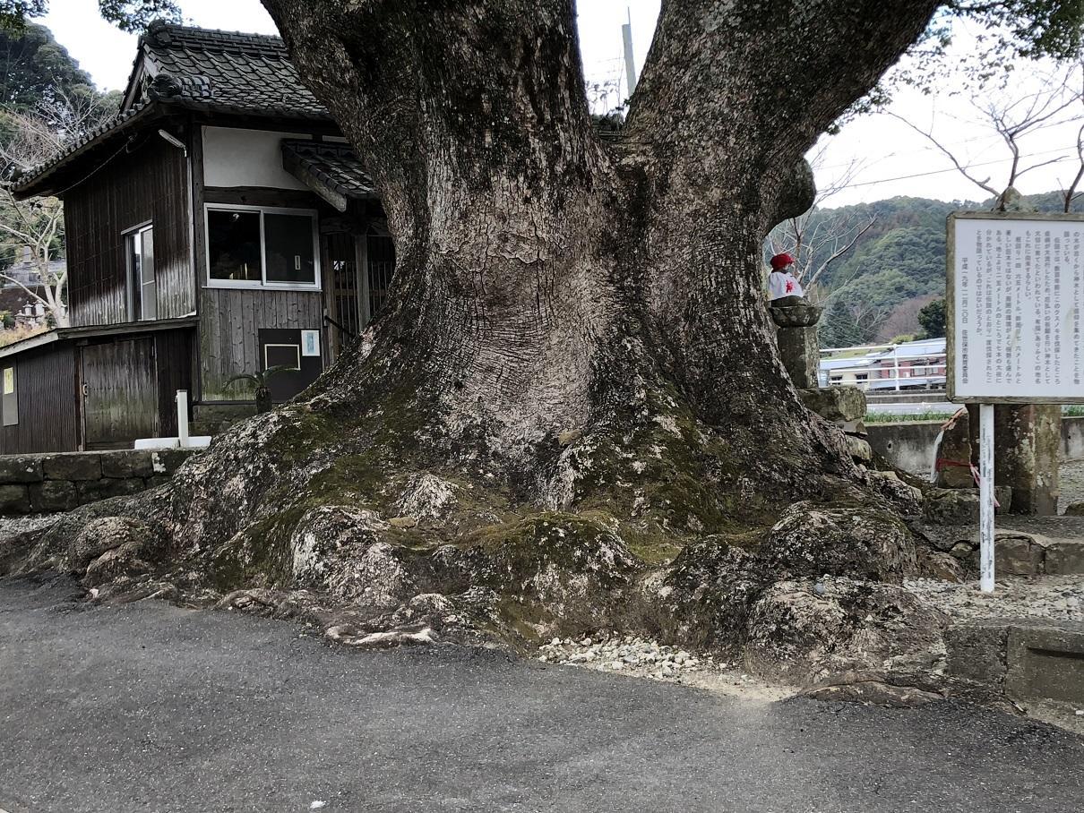 写真 2019-01-19 12 15 42.jpg