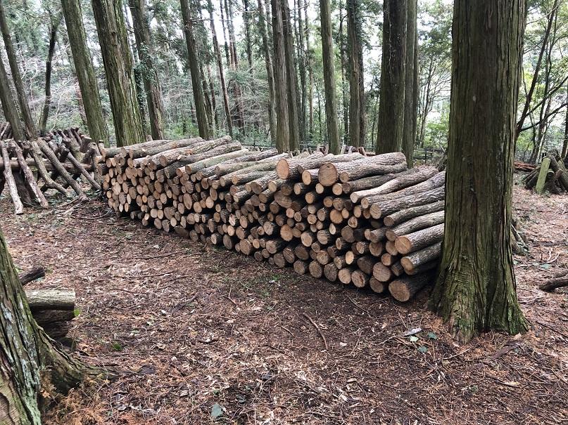 写真 2019-02-17 10 31 40.jpg