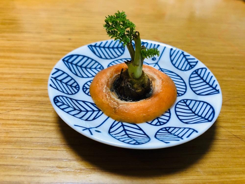 iOS の画像 (11).jpg