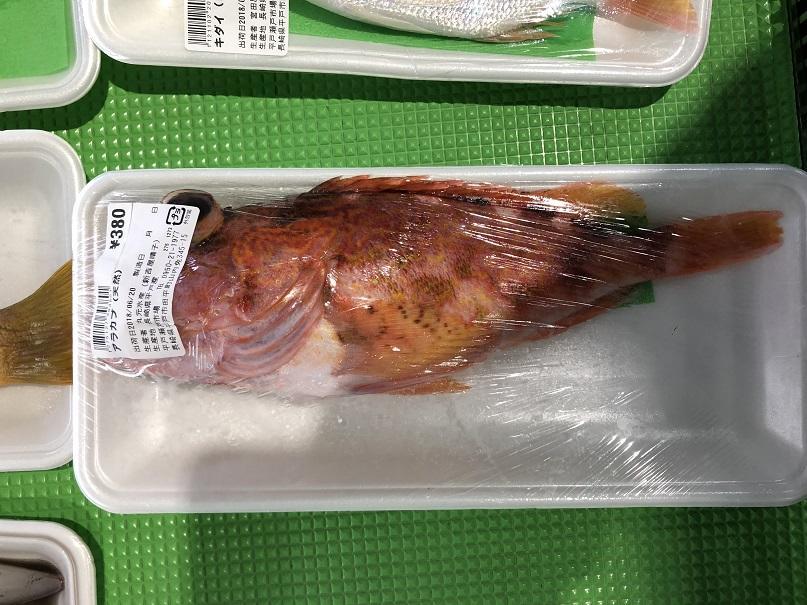 写真 2018-06-20 13 08 23.jpg