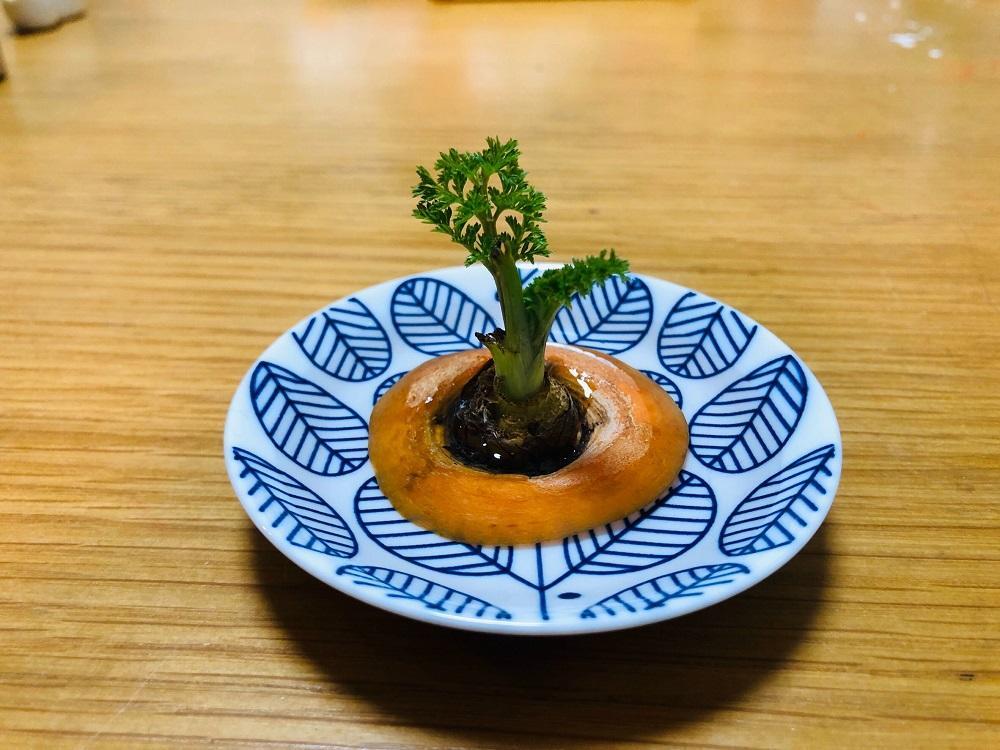 iOS の画像 (17).jpg