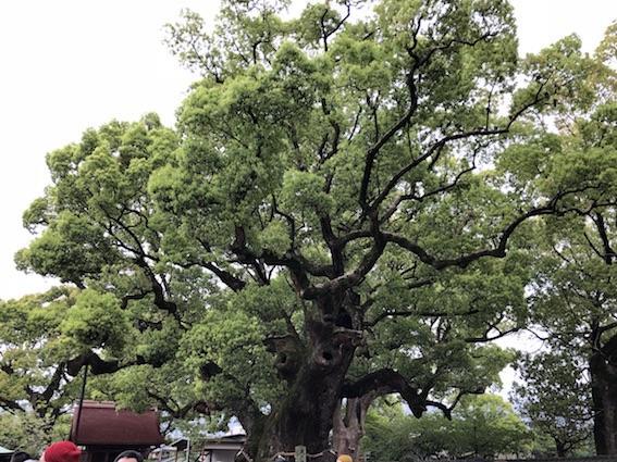 写真 2018-04-15 16 54 11 (5).jpg