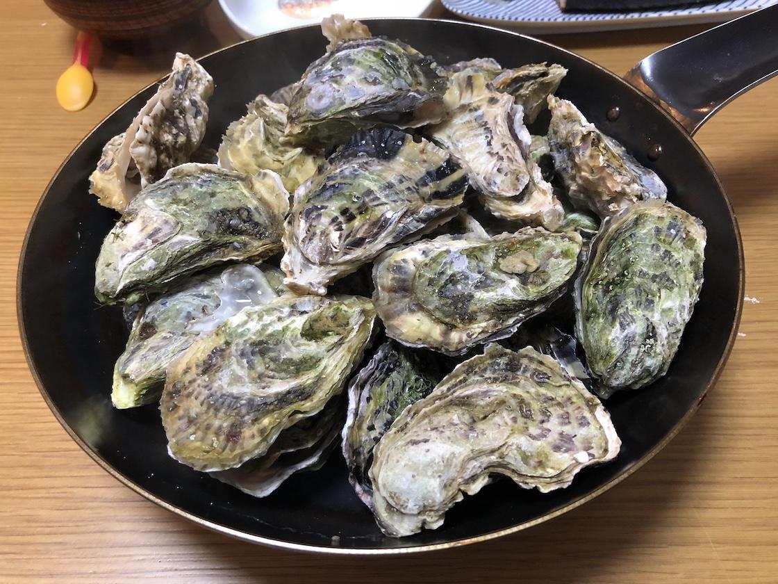 Photo 2018-04-01 18 28 58.jpg