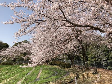 Photo 2018-04-02 9 58 58 (4).jpg