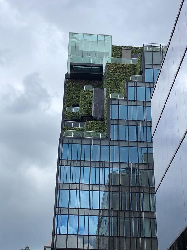 iOS の画像 (18).jpg