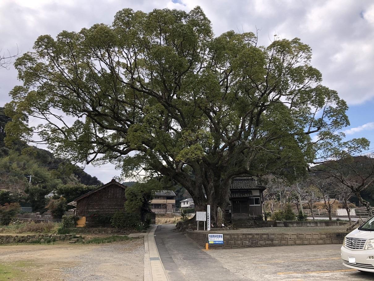 写真 2019-01-19 12 13 13.jpg