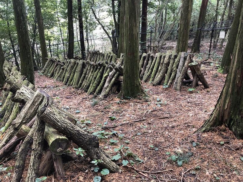 写真 2019-02-17 10 31 46.jpg