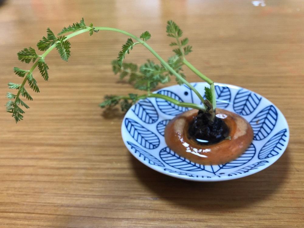 iOS の画像 (19).jpg