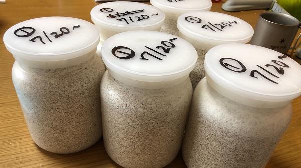 iOS の画像 (8).jpg