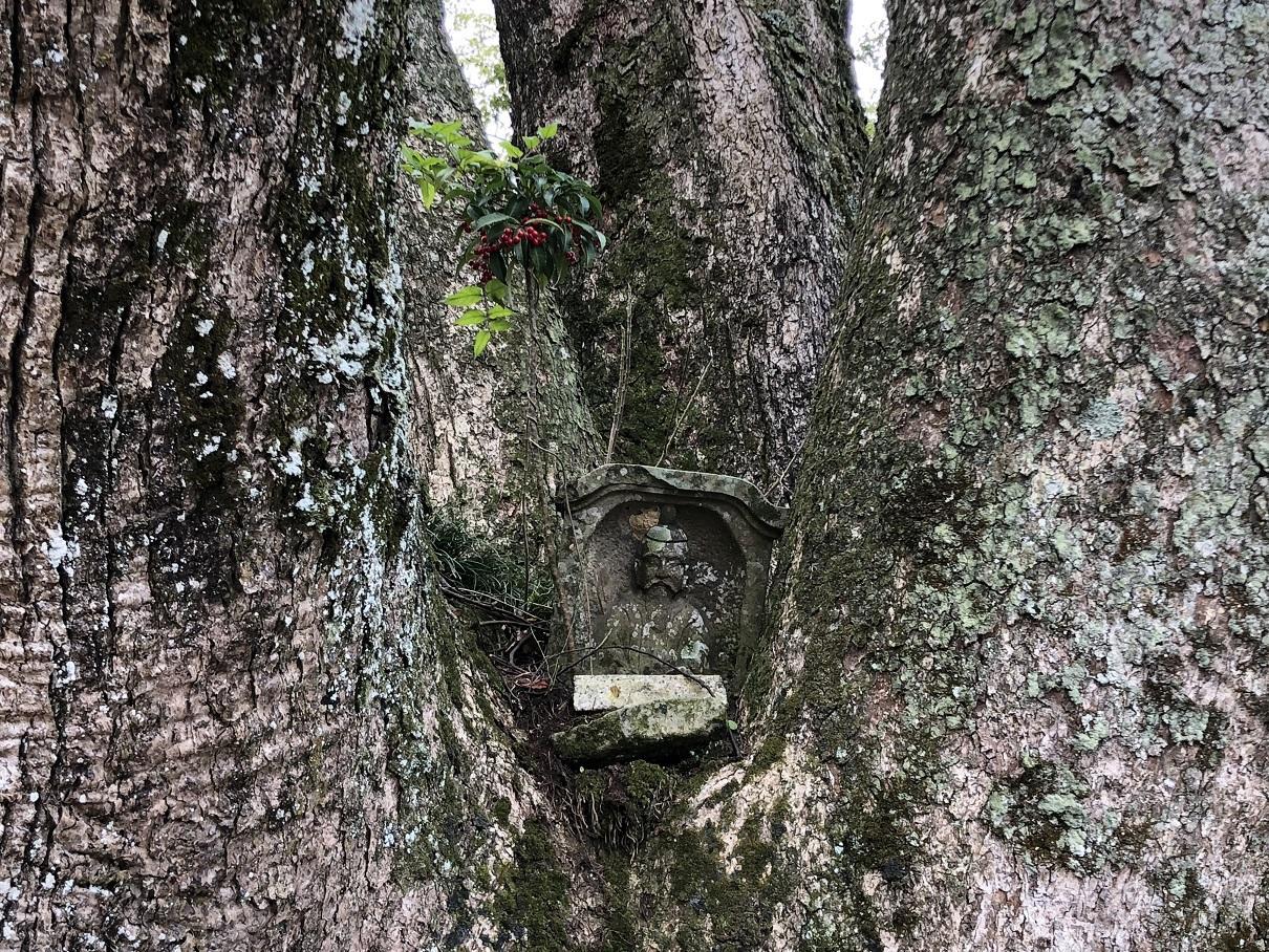 写真 2019-01-19 12 15 04.jpg