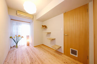 小さな傷よりも猫への優しさを優先