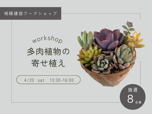 24-04多肉kengaku cloud.jpg