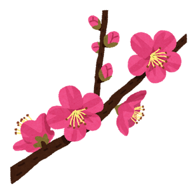 梅の花.png