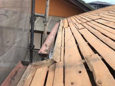 柴田邸 屋根_190402_0002.jpg