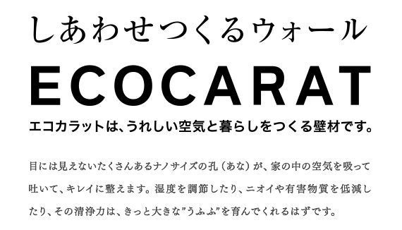 エコカラットエコカラット2.PNG