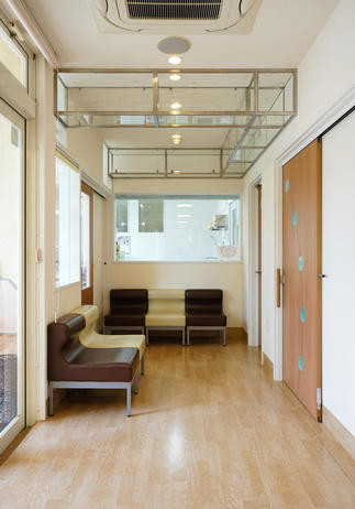 ガラスのキャットウォーク