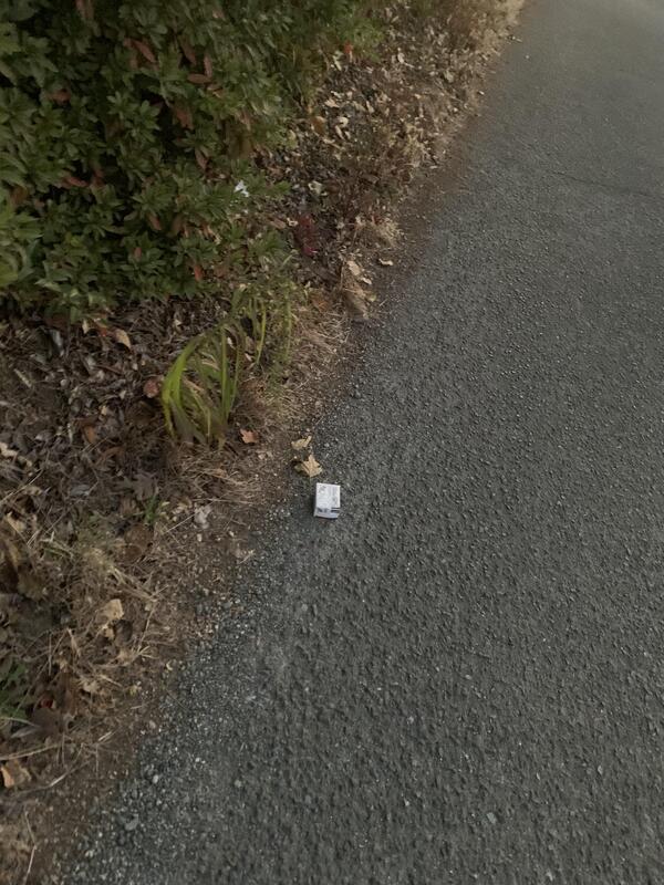 B4CD58E7-4F10-491B-9DD3-7E5AC49B30C8.jpgのサムネイル画像