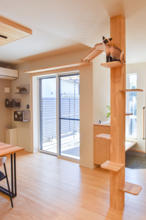 キャットタワー3.png
