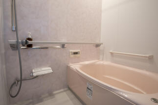 LIXILリデアのスマートエスコートバー