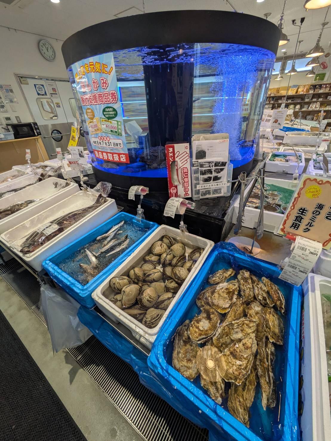 画像②.jpg