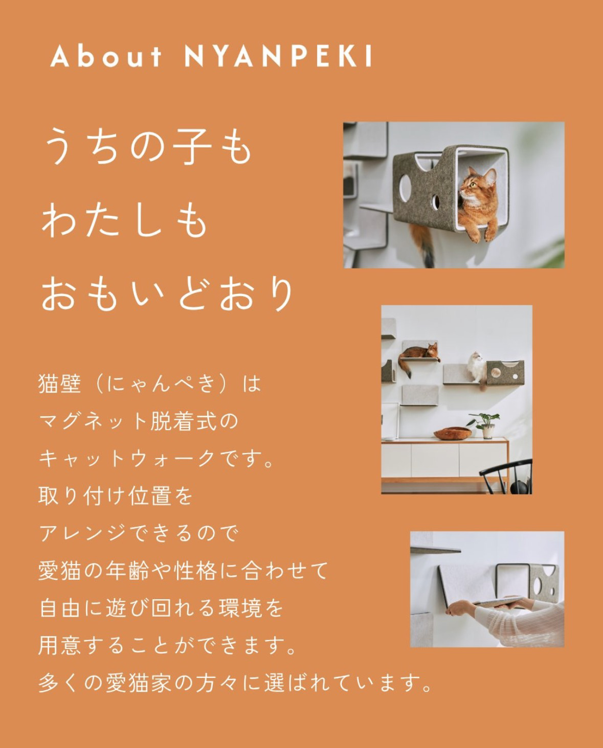 IMG_2257.PNG