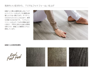 ラシッサ特徴①