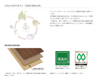 ラシッサ特長④