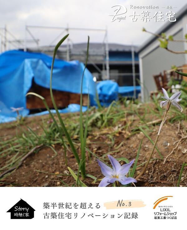 つくば市古築住宅リノベーション.jpg