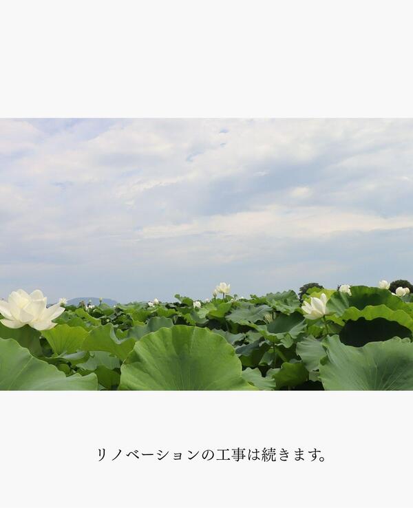 つくば市 リフォーム提案　定評.jpg