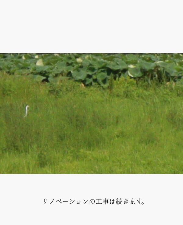 つくば市 リフォーム補助金.jpg