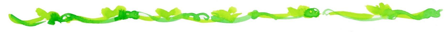 手書き ツタ.jpg