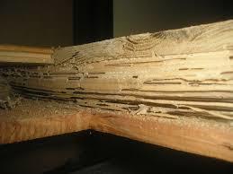 ダウンロード (1).jpg