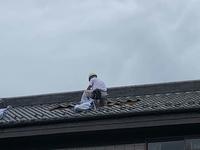 竜巻被害 (5).jpg