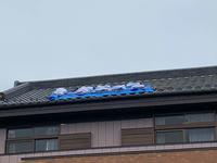 竜巻被害 (3).jpg