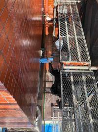 埼玉県三郷市T様賃貸マンション防水工事 (12).jpg