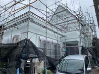 台風養生1 (2).jpg