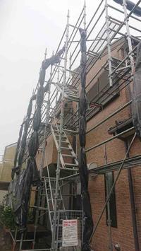 台風養生 (3).jpg