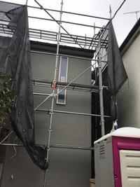 台風養生 (2).JPG