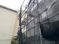 台風養生 (4).jpeg