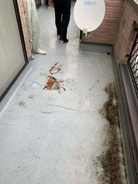 北葛飾郡松伏町C様 (1).jpg